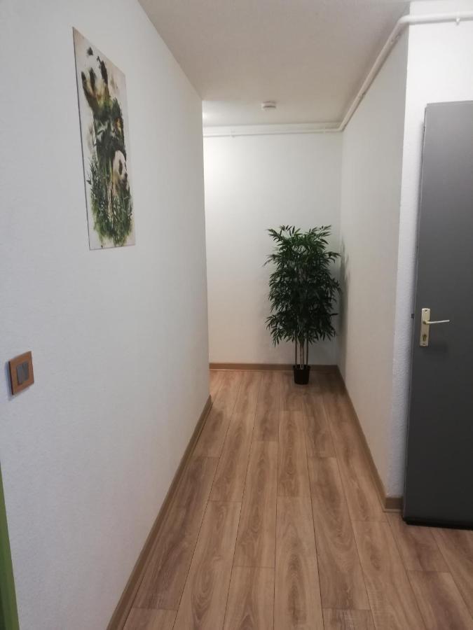 Grand T3 Avec Clim, Parking Et Terrasse Privative - Agen Lägenhet Exteriör bild